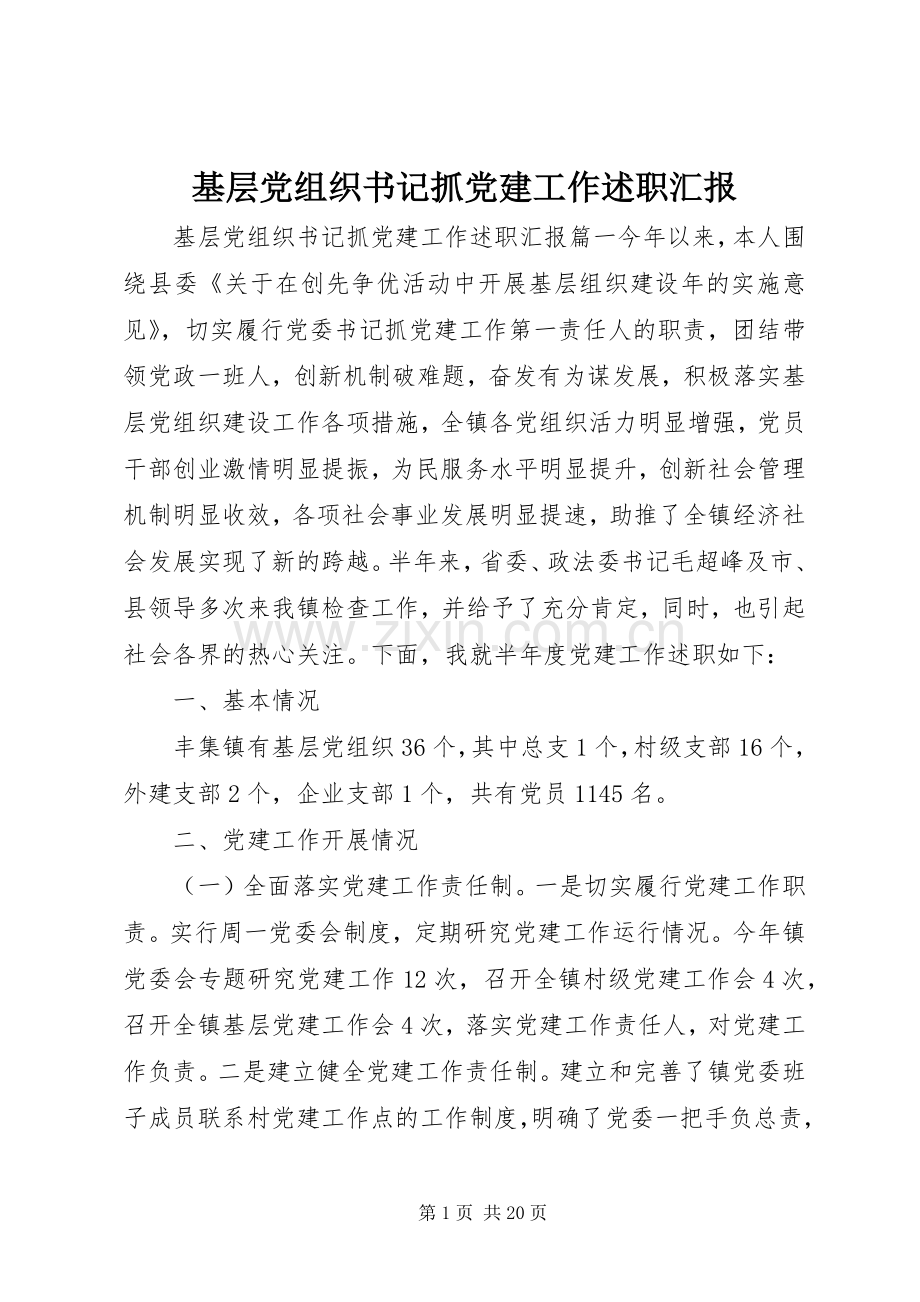 基层党组织书记抓党建工作述职汇报.docx_第1页