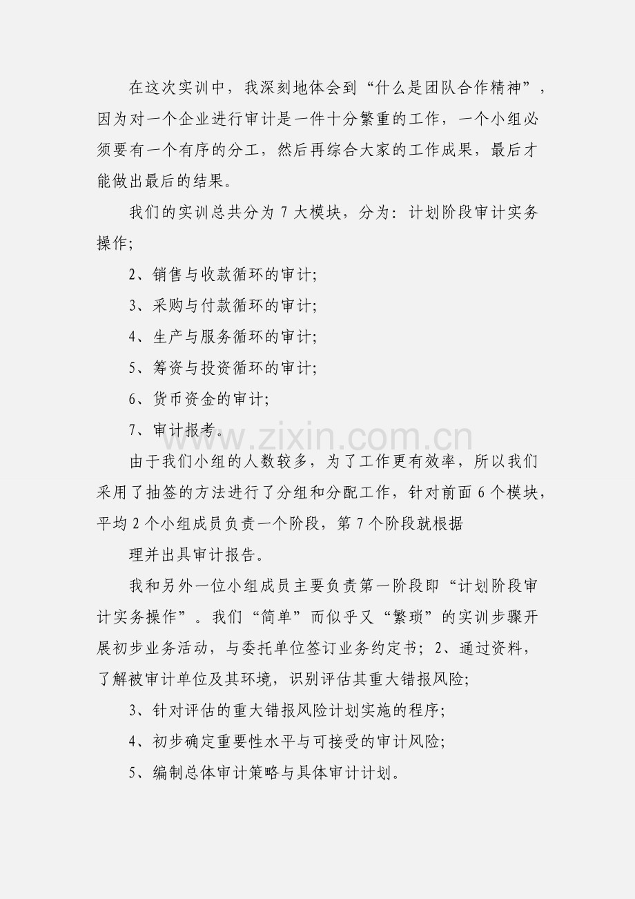 审计模拟实训心得.docx_第2页