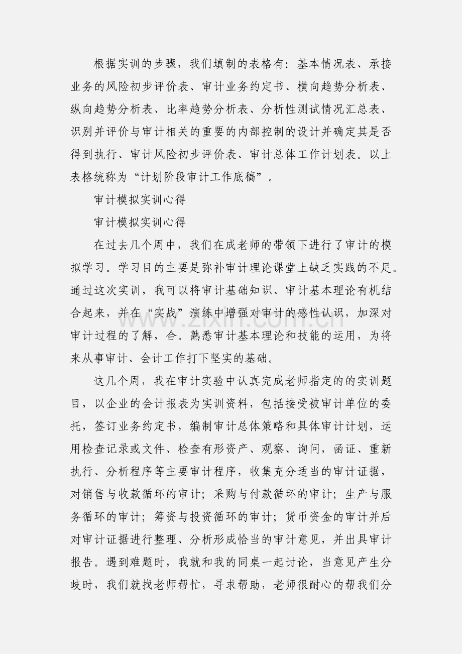 审计模拟实训心得.docx_第3页