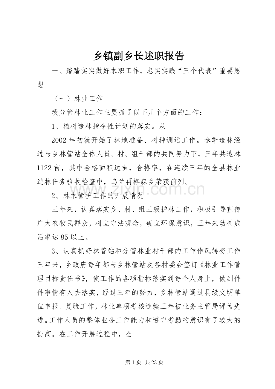 乡镇副乡长述职报告.docx_第1页