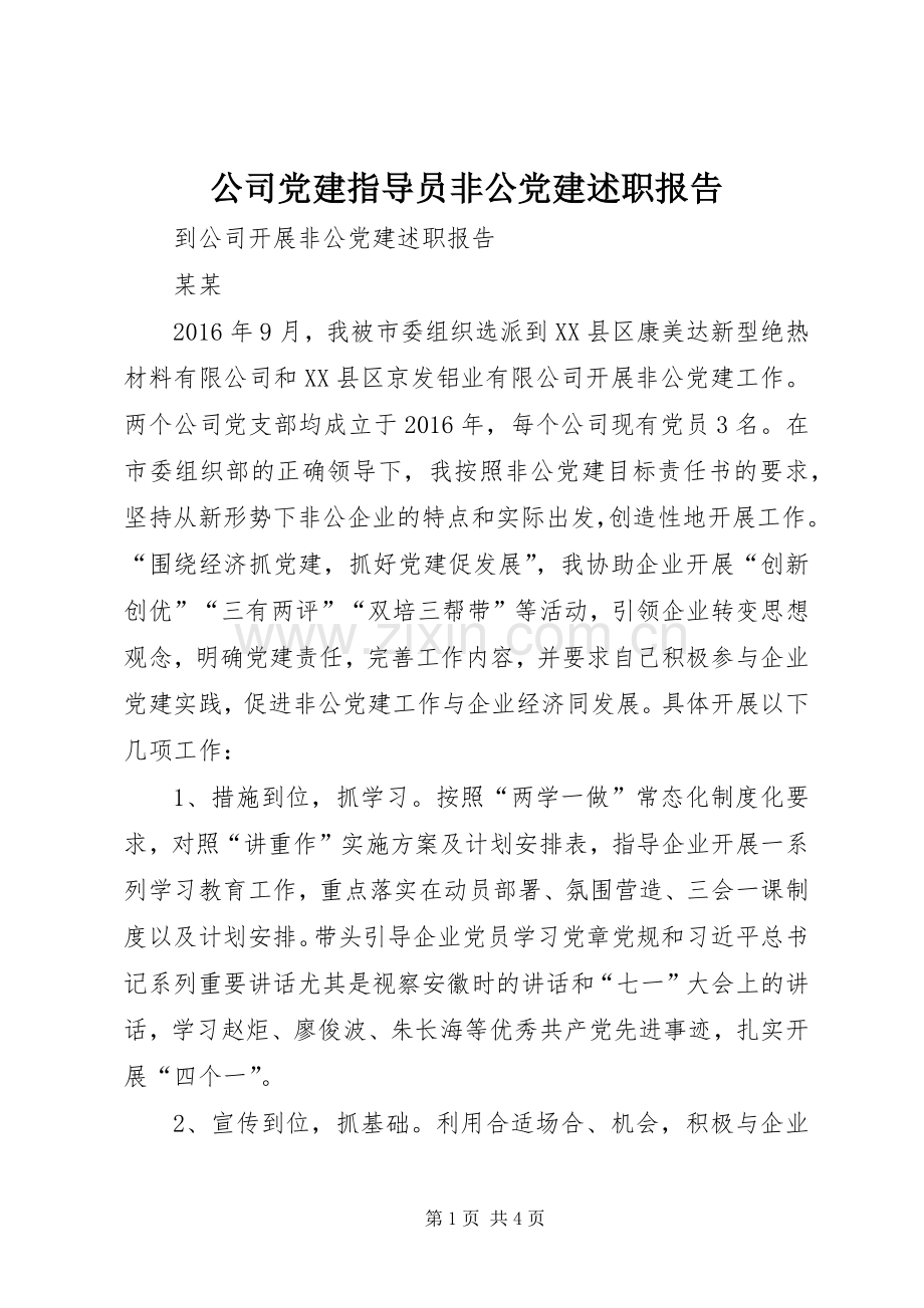 公司党建指导员非公党建述职报告.docx_第1页