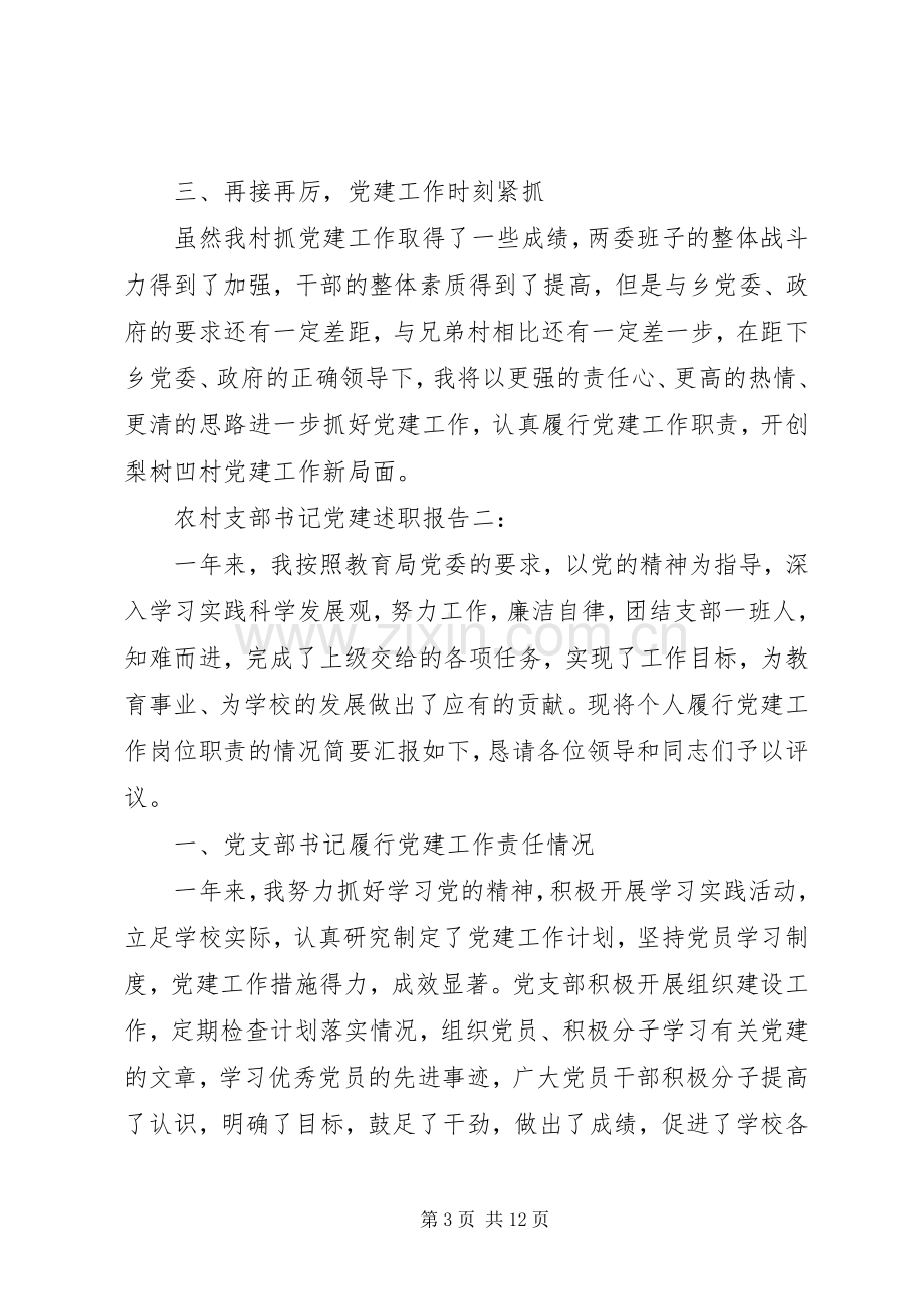 农村支部书记党建述职报告3篇.docx_第3页