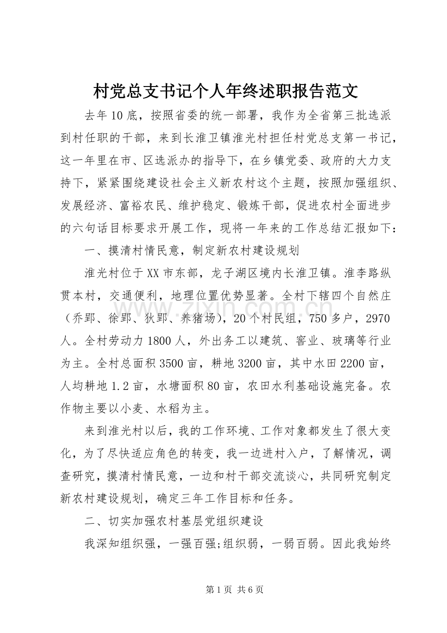 村党总支书记个人年终述职报告范文.docx_第1页