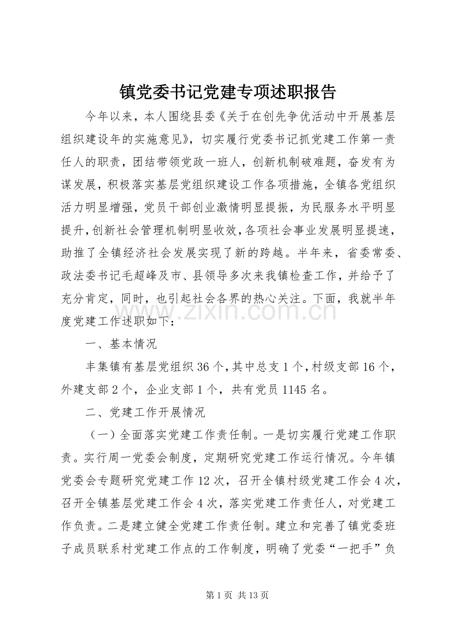 镇党委书记党建专项述职报告.docx_第1页