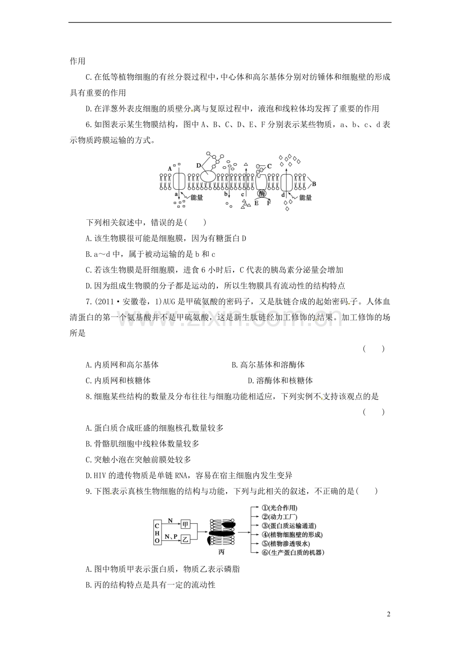 【金牌学案】高考生物二轮专题复习-第一部分训练2-细胞的基本结构-新人教版.doc_第2页