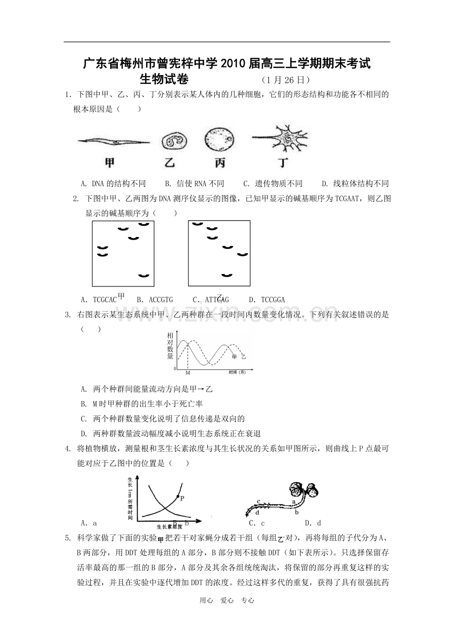 广东省梅州市曾宪梓中学2010届高三生物上学期期末考试-苏教版-新课标.doc_第1页