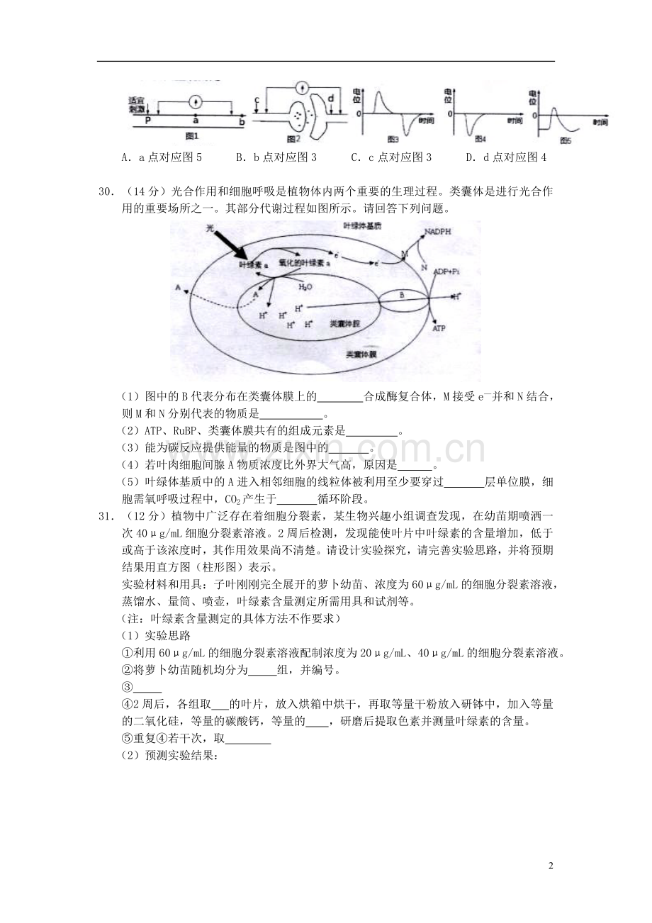 浙江省温州市2013届高三生物第一次适应性测试试题浙科版.doc_第2页