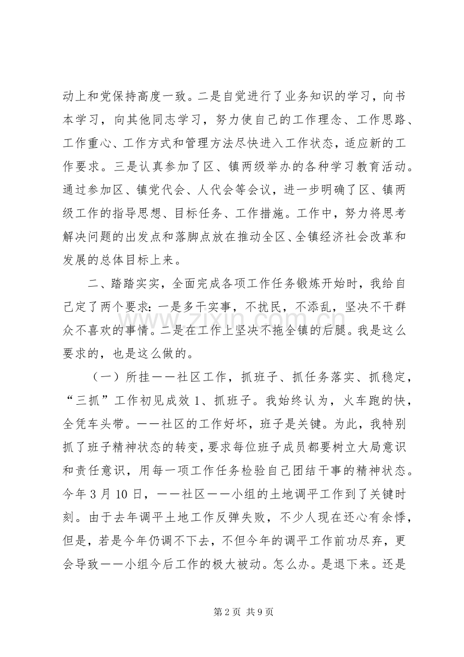 挂职任副镇长述职报告.docx_第2页