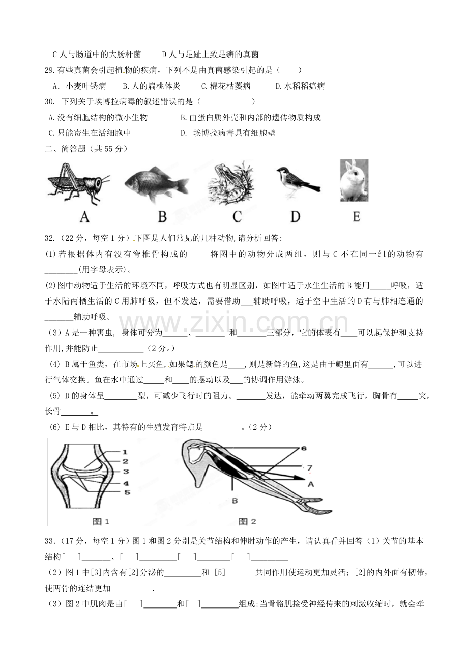 日照莒县北五校2014-2015年八年级生物期中试题及答案.doc_第3页