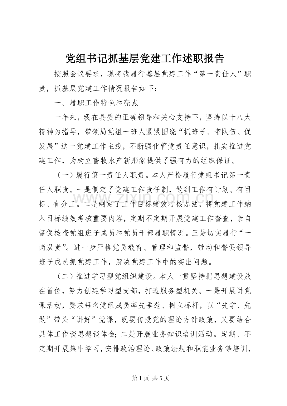 党组书记抓基层党建工作述职报告.docx_第1页