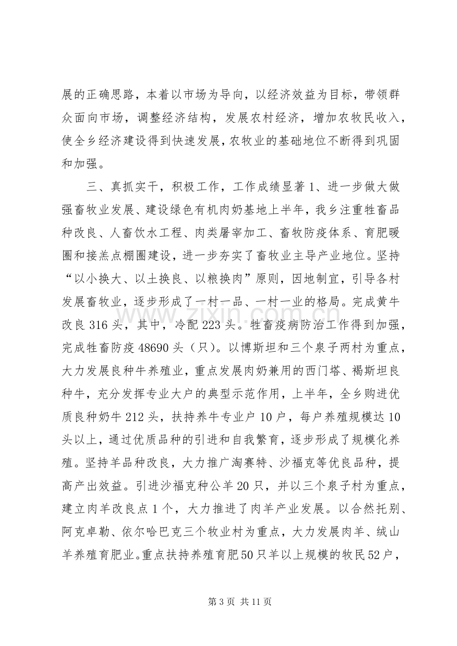 乡党委副书记、乡长述职述廉报告.docx_第3页