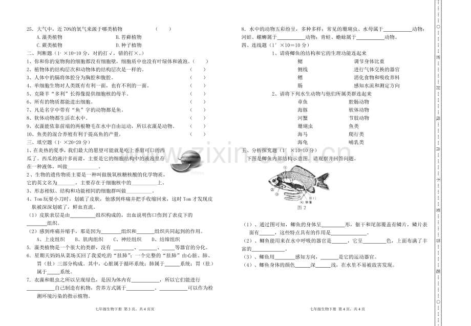 七年级生物下册期中试卷.doc_第2页