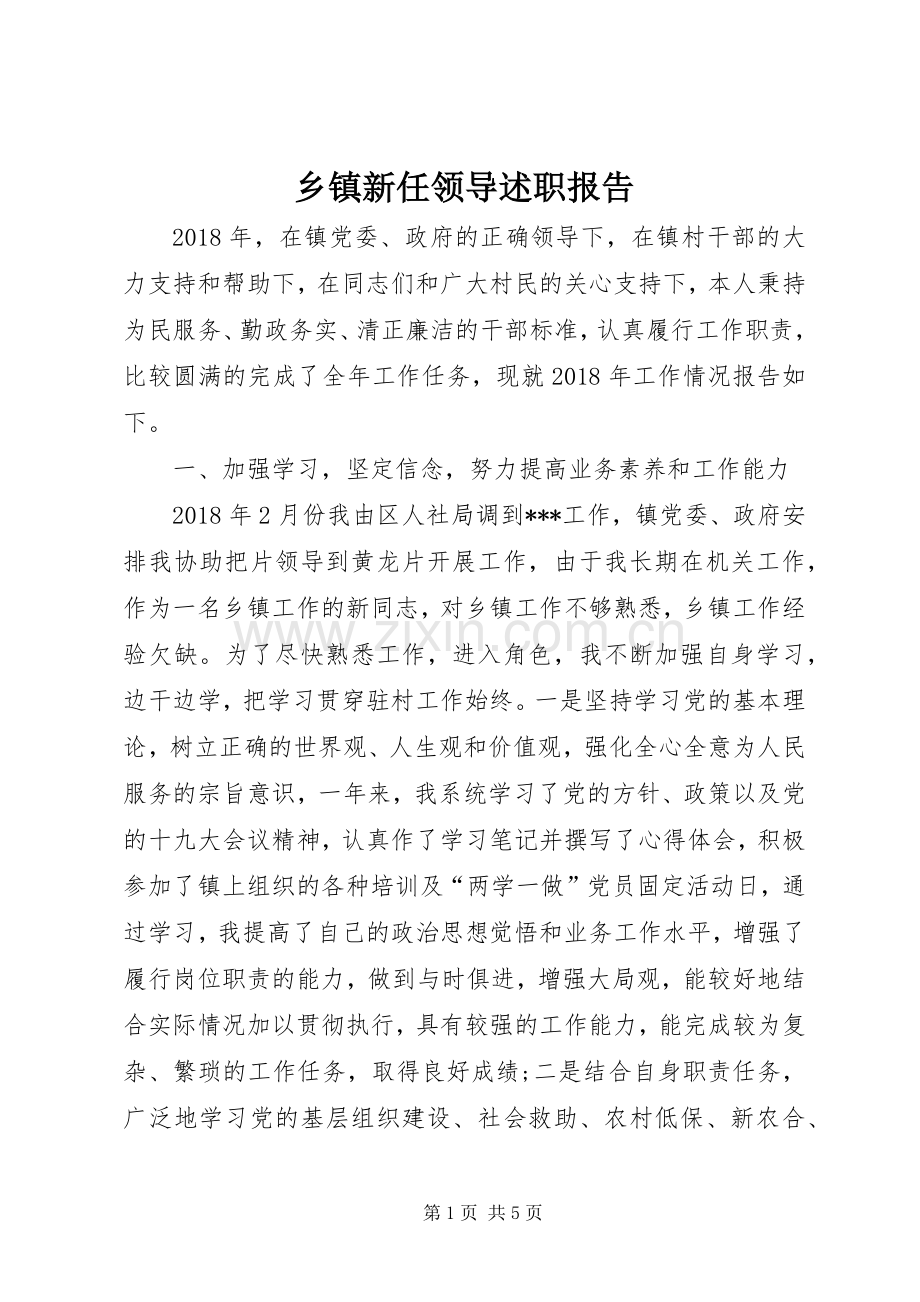 乡镇新任领导述职报告.docx_第1页