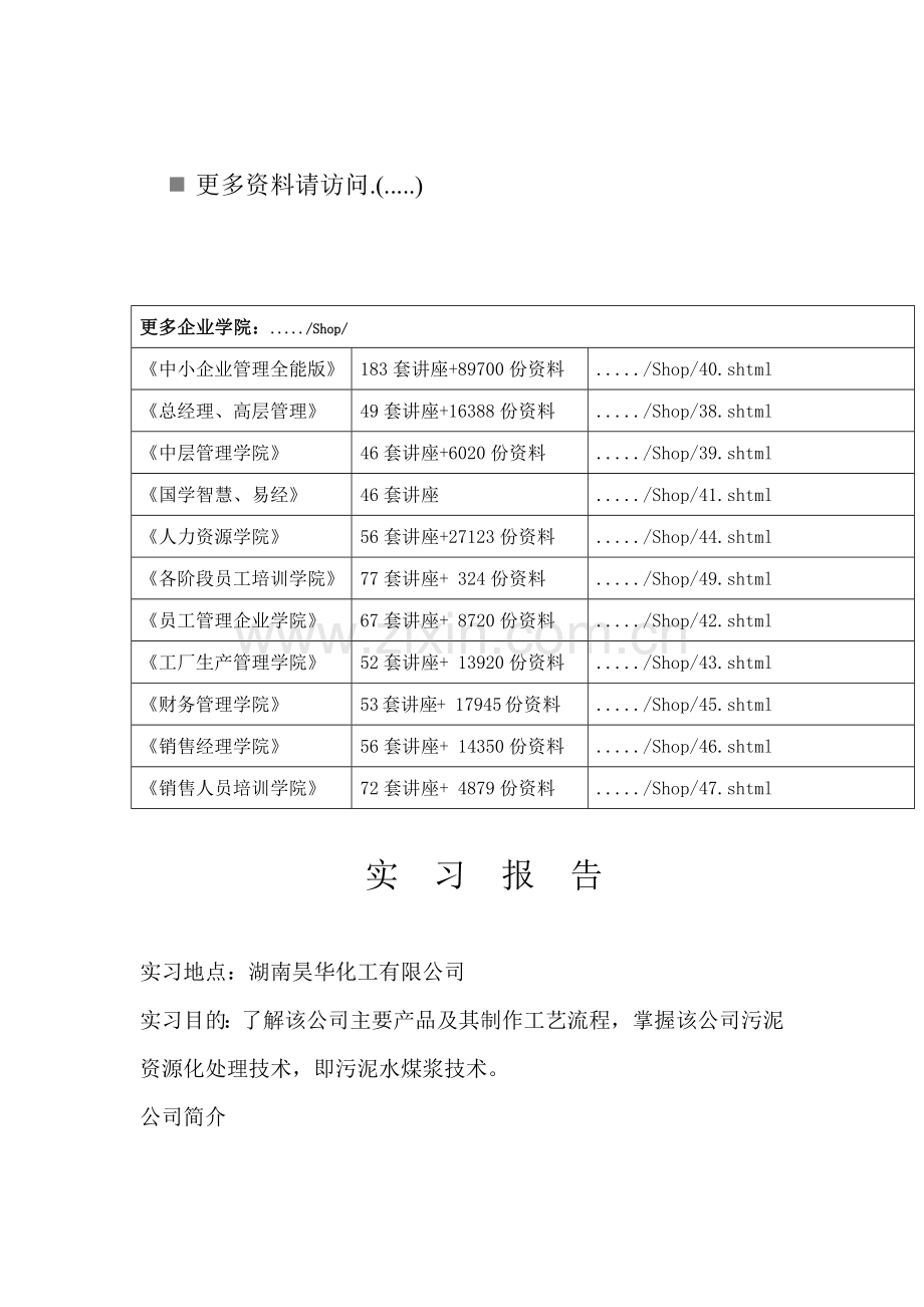 在湖南某化工公司的实习报告.docx_第1页