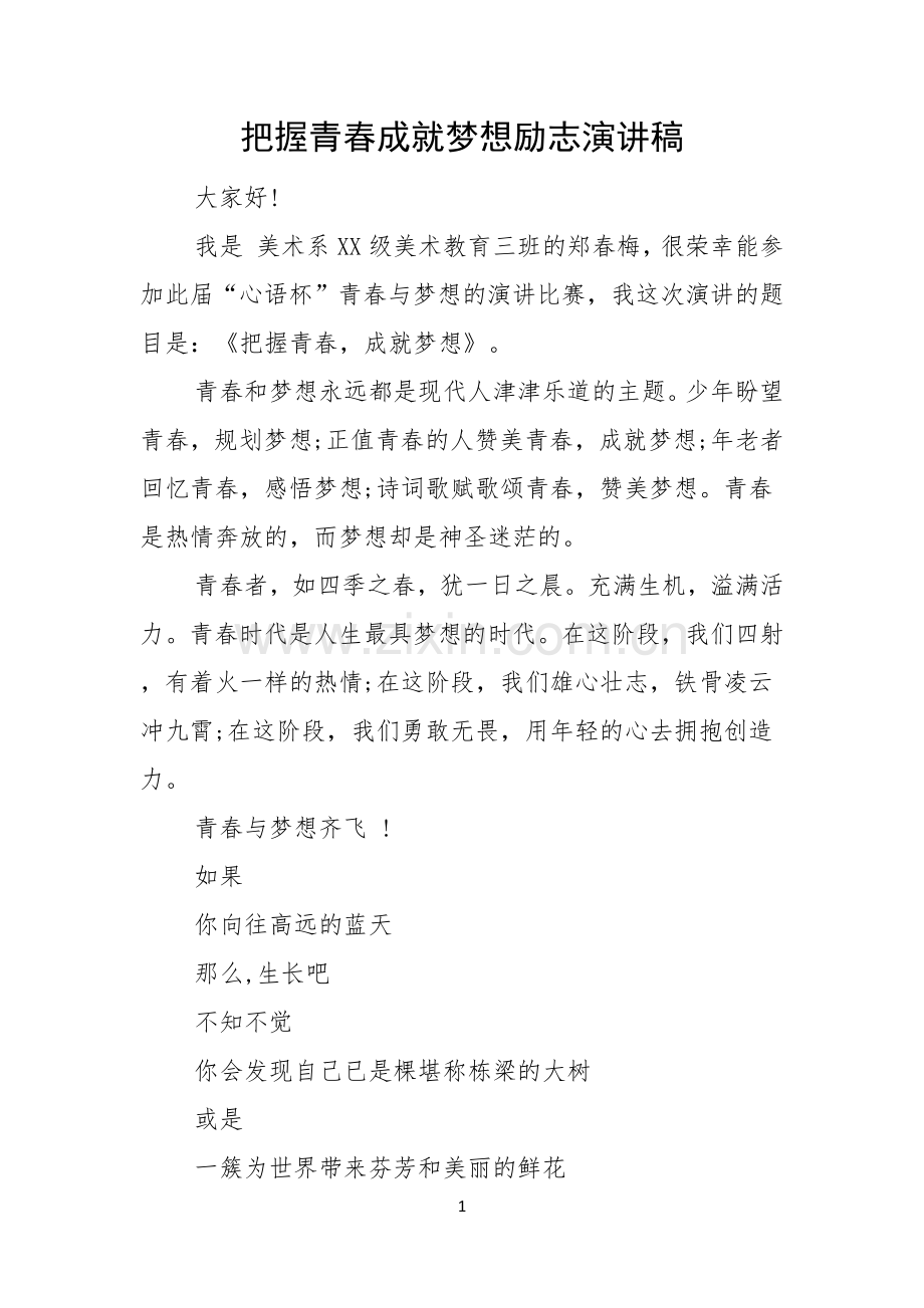 把握青春成就梦想励志演讲稿.docx_第1页