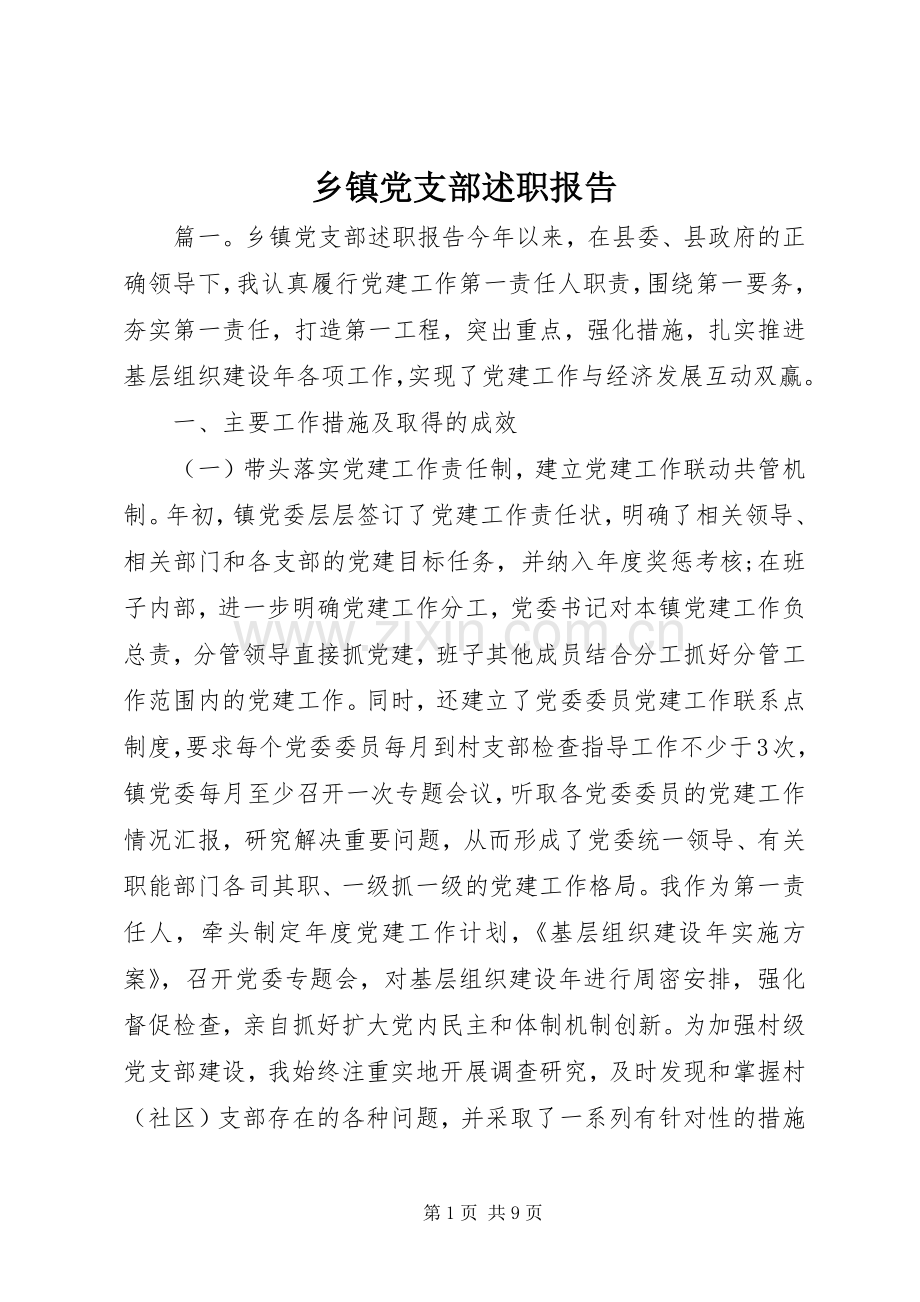 乡镇党支部述职报告.docx_第1页