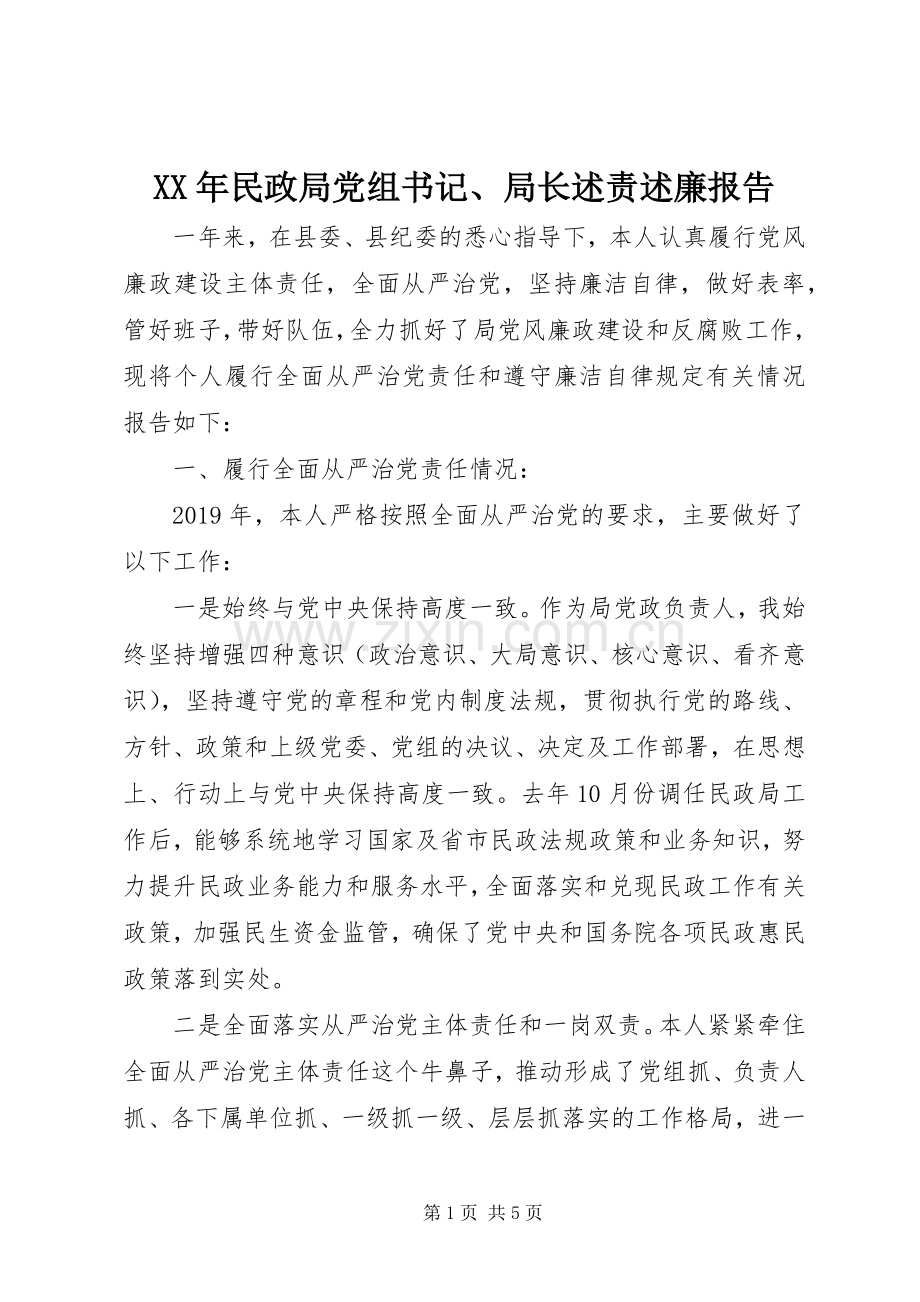 XX年民政局党组书记、局长述责述廉报告.docx_第1页