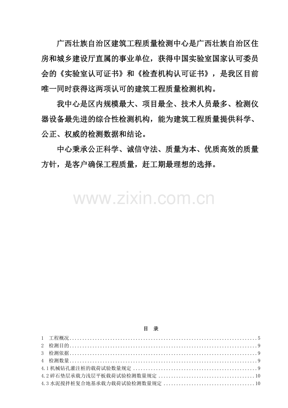 排冲水系环境综合整治工程地基基础质量检测方案.docx_第2页