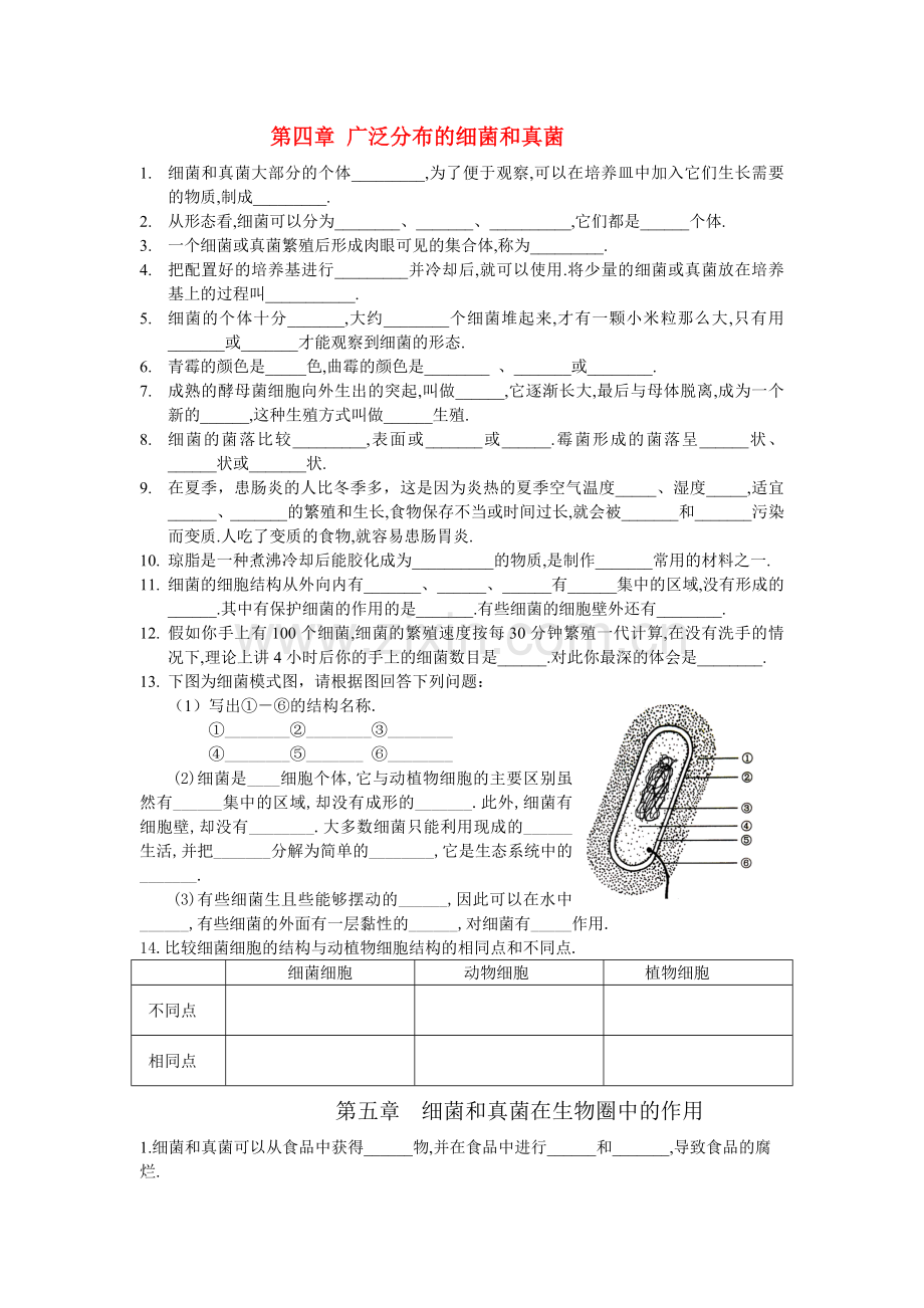 八年级生物上册期末复习资料人教版.doc_第1页