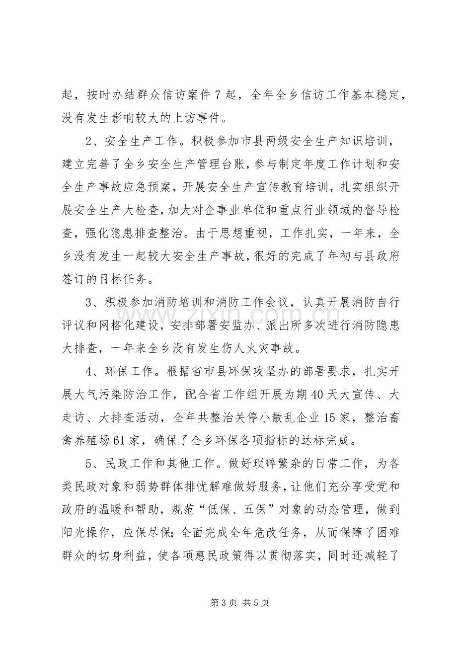 乡科级领导干部个人述职述责报告.docx_第3页