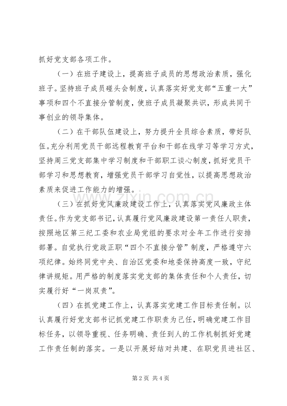 党支部书记XX年度个人述职述德述廉报告.docx_第2页