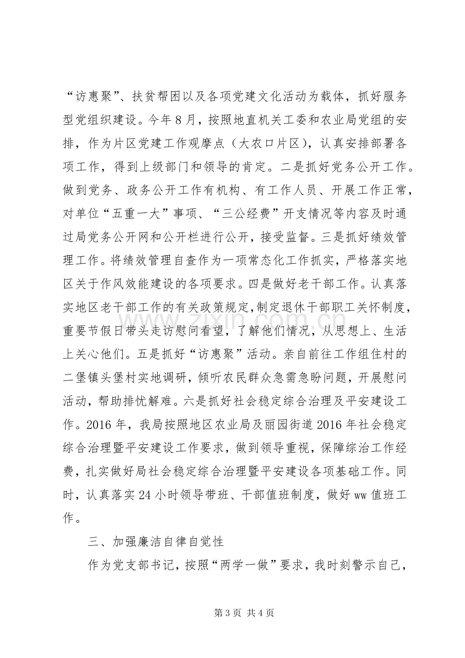 党支部书记XX年度个人述职述德述廉报告.docx_第3页