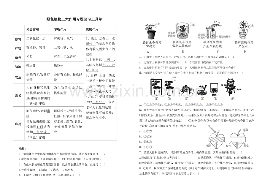 第五章-绿色植物与生物圈中的碳—氧平衡.docx_第1页