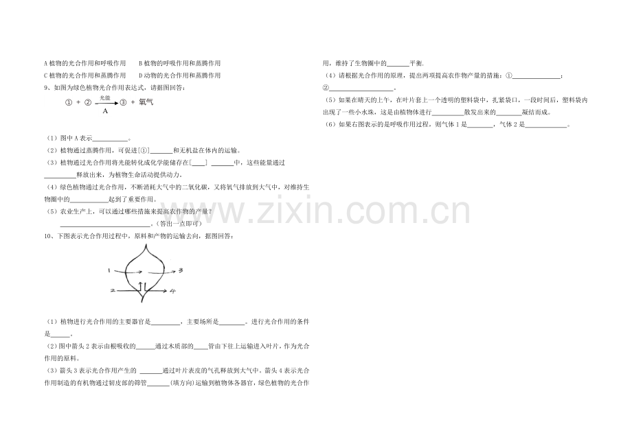 第五章-绿色植物与生物圈中的碳—氧平衡.docx_第2页