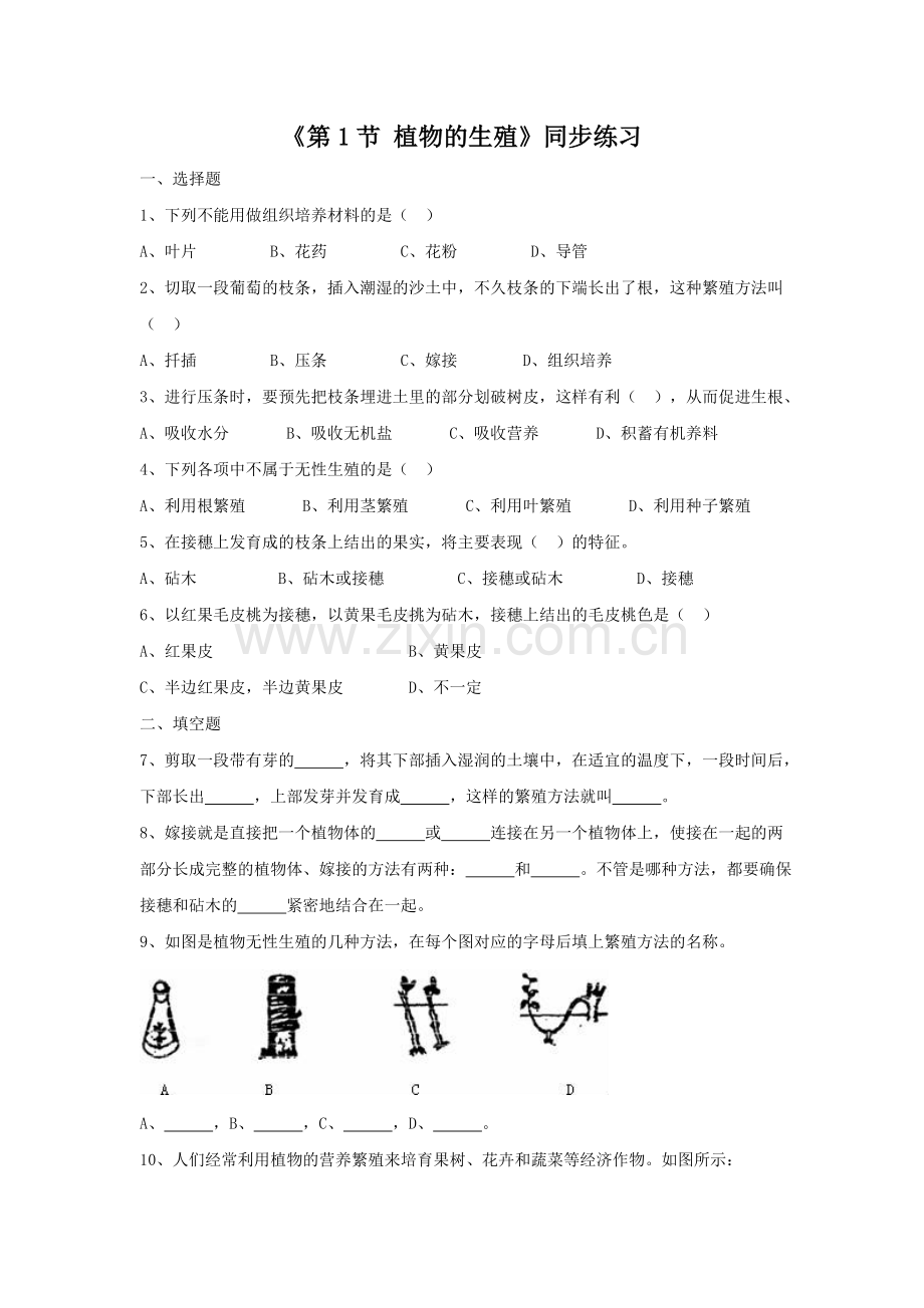 《第1节-植物的生殖》同步练习2.doc_第1页