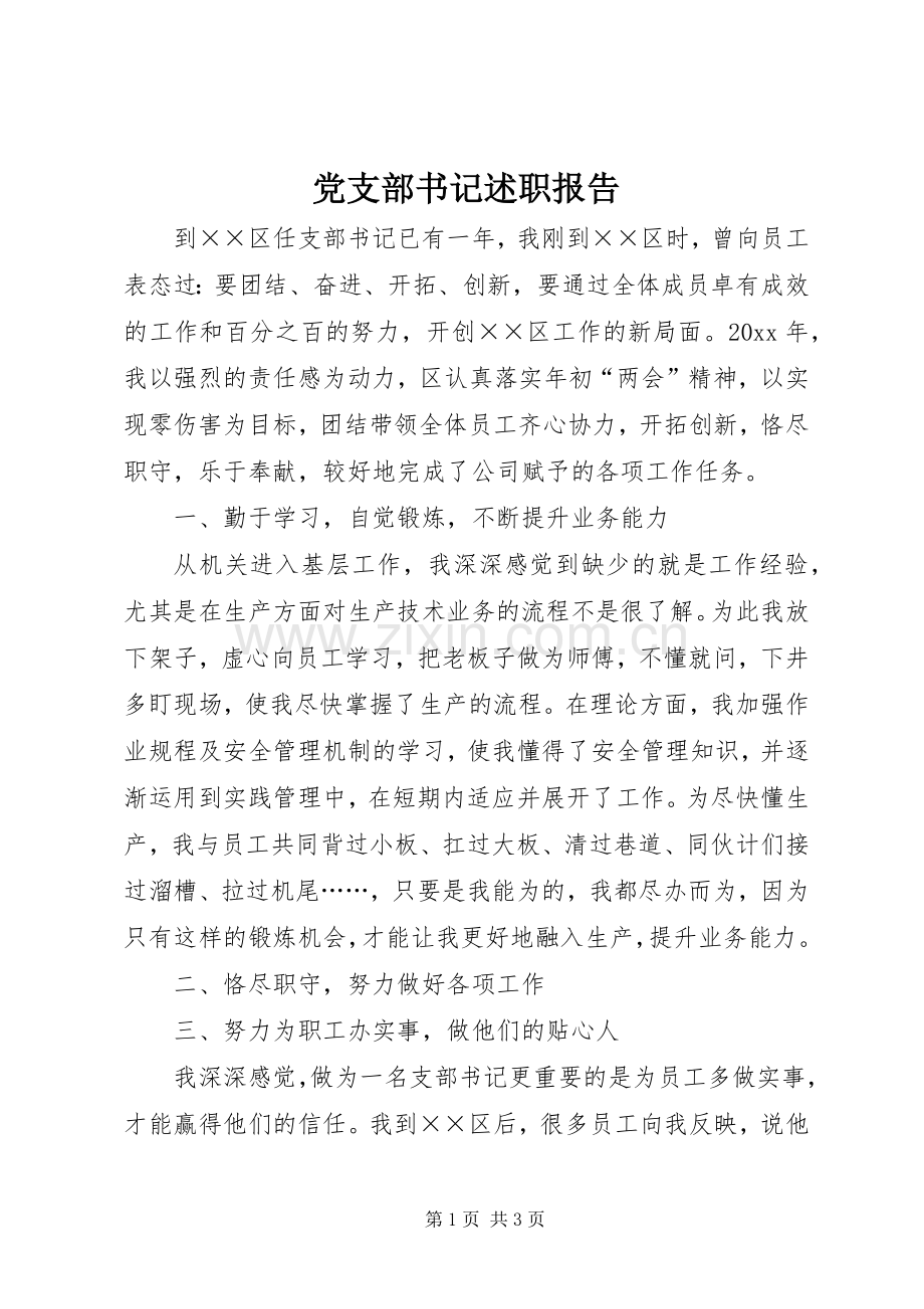 党支部书记述职报告 (34).docx_第1页