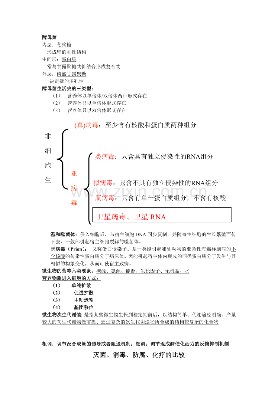 微生物学大题.docx_第3页