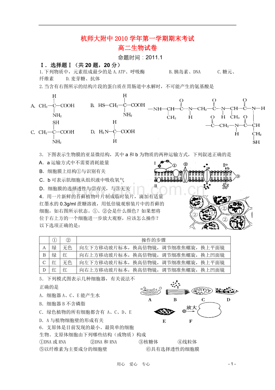 浙江省杭州师范大学附属中学2010-2011学年高二生物上学期期末考试试题.doc_第1页