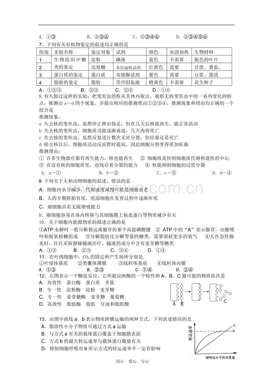 浙江省杭州师范大学附属中学2010-2011学年高二生物上学期期末考试试题.doc_第2页