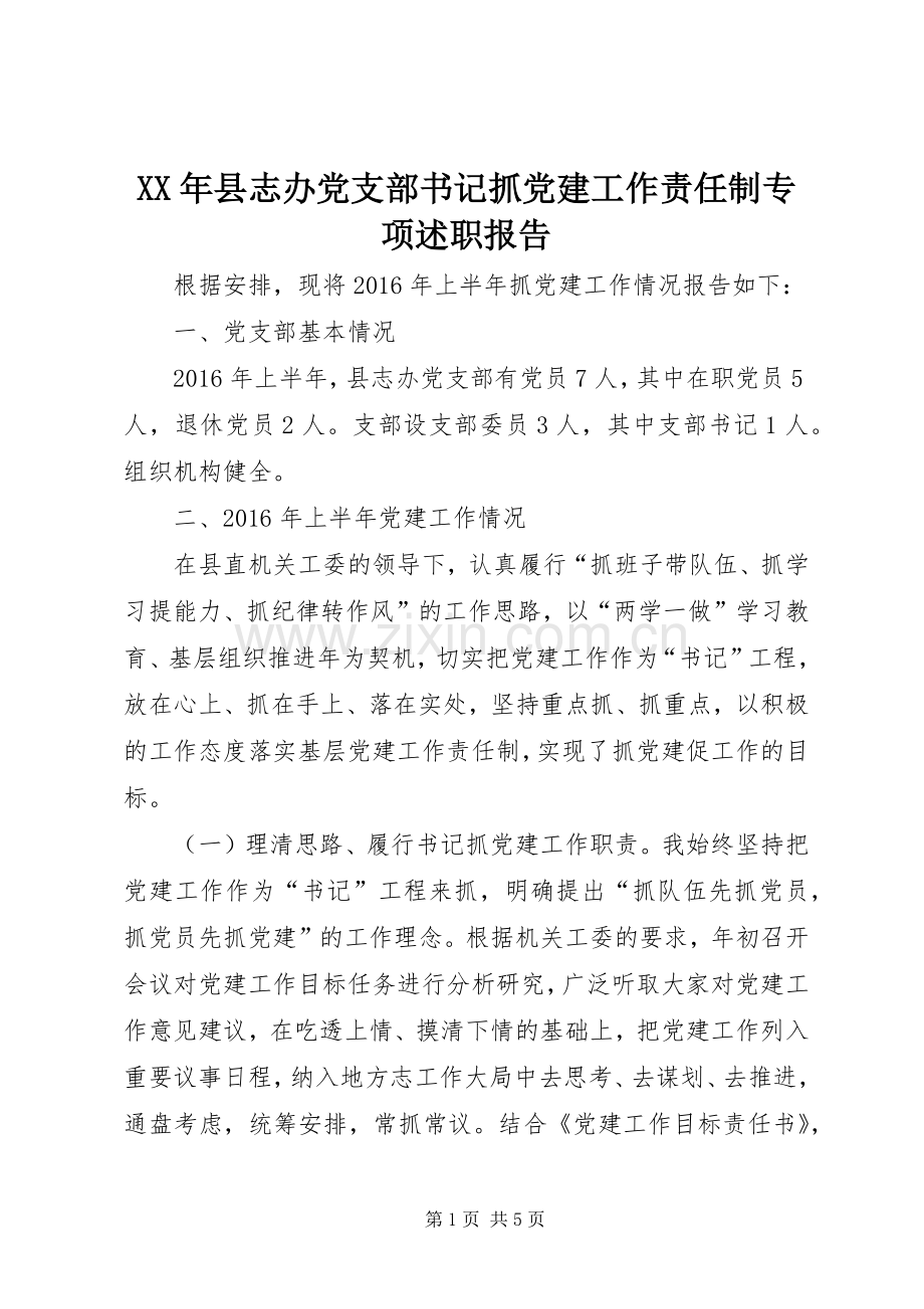 XX年县志办党支部书记抓党建工作责任制专项述职报告.docx_第1页