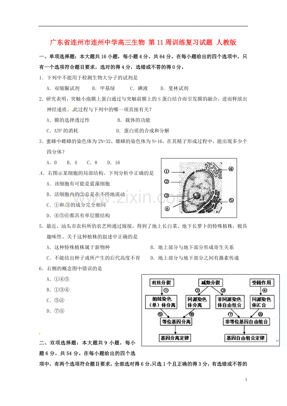 广东省连州市连州中学高三生物-第11周训练复习试题-人教版.doc_第1页