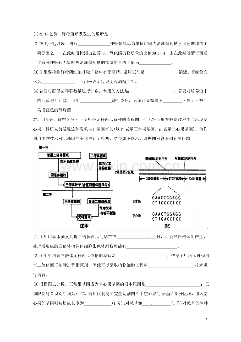 广东省连州市连州中学高三生物-第11周训练复习试题-人教版.doc_第3页