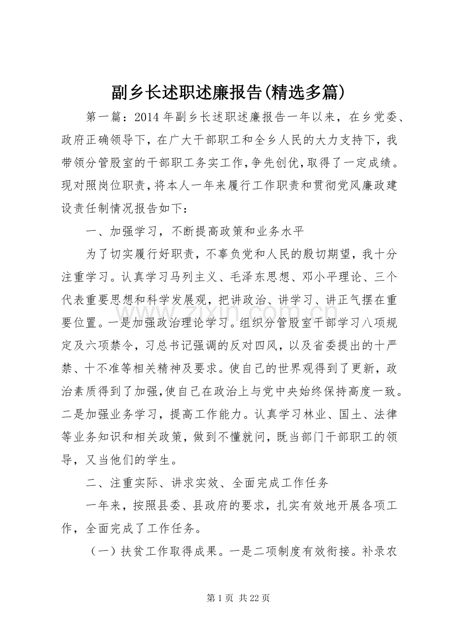 副乡长述职述廉报告(多篇).docx_第1页