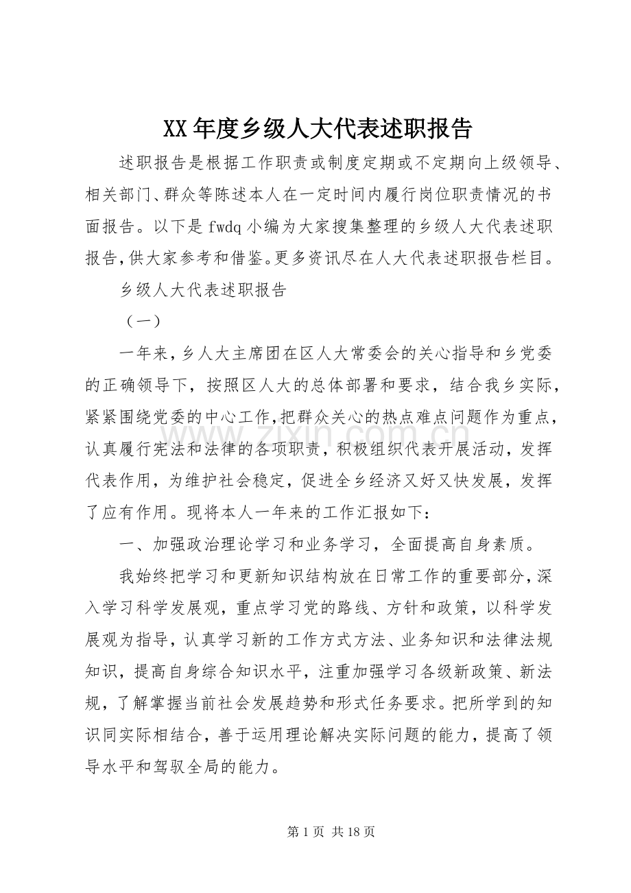 XX年度乡级人大代表述职报告.docx_第1页