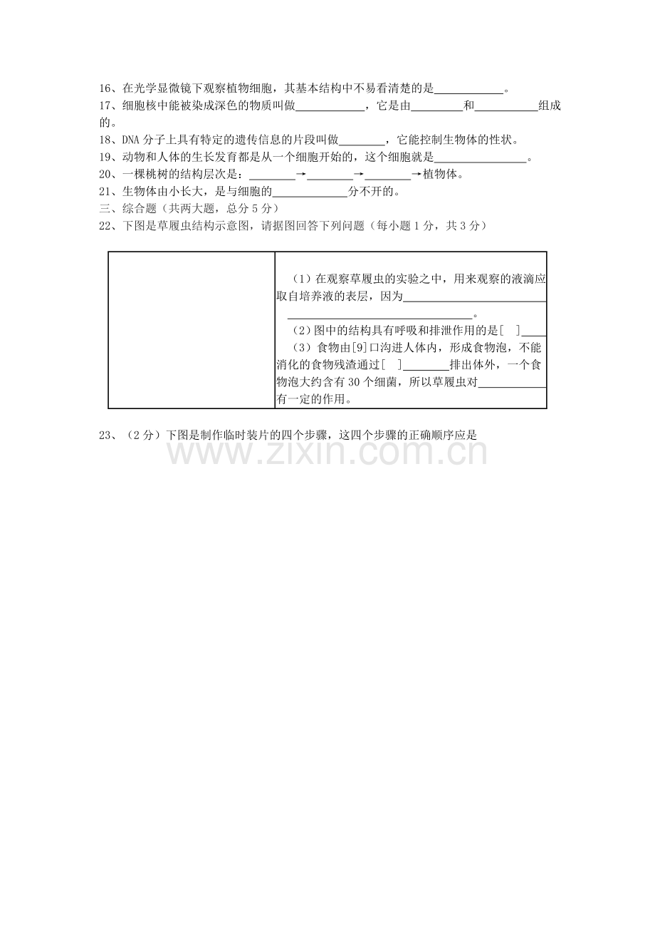 中考生物 第二单元复习题无答案 人教新课标版.doc_第2页