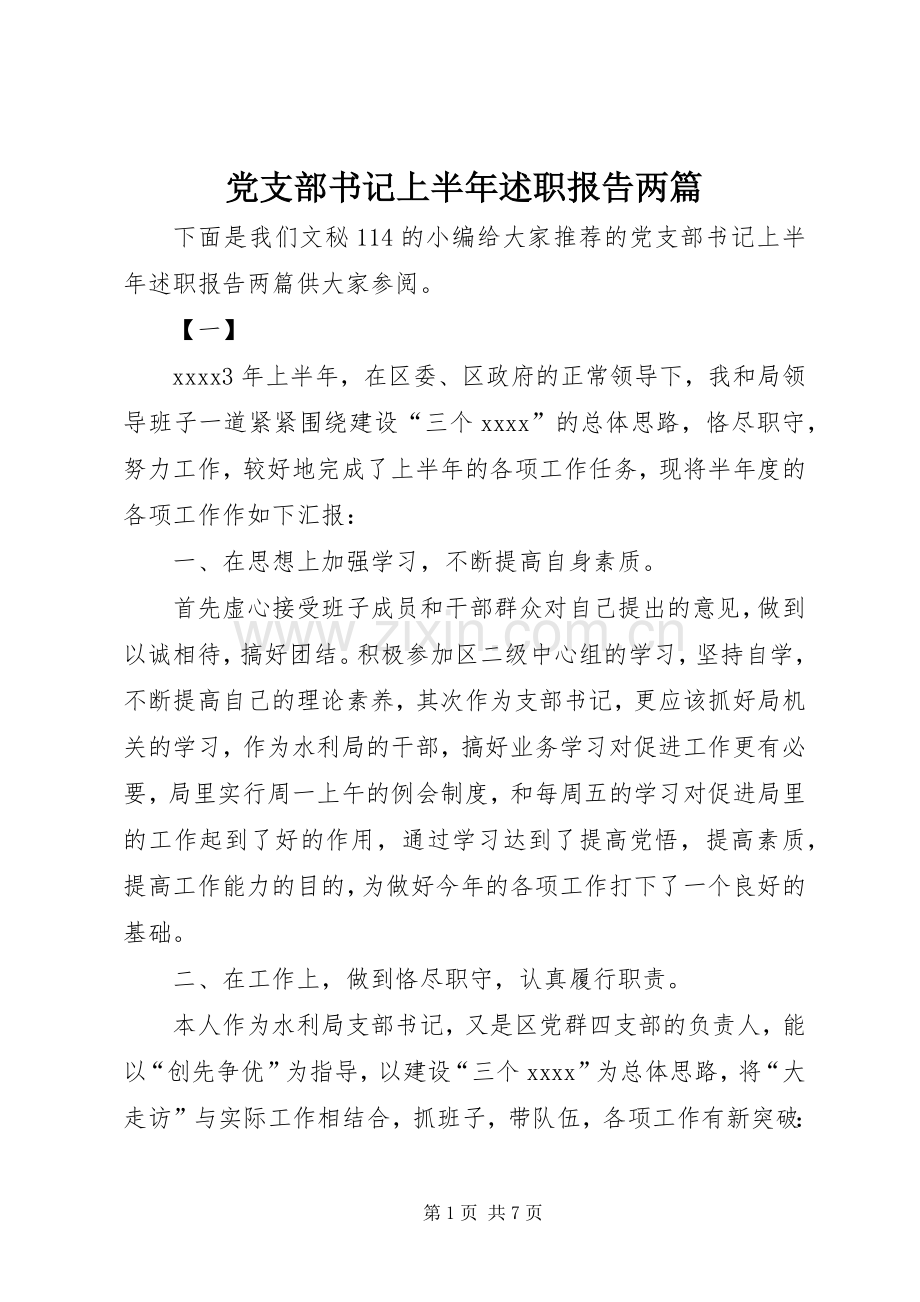 党支部书记上半年述职报告两篇.docx_第1页