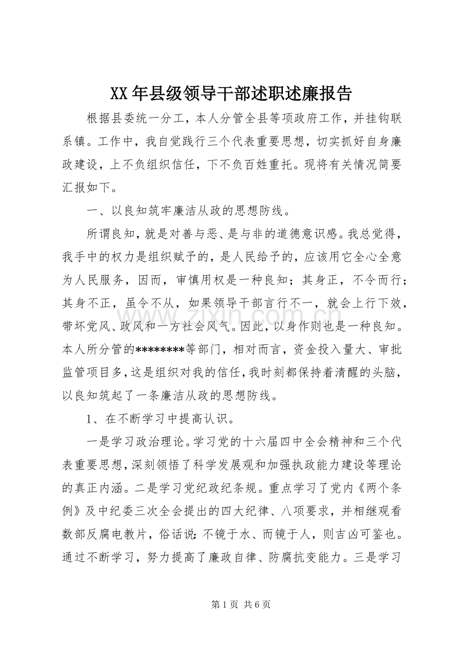 XX年县级领导干部述职述廉报告.docx_第1页