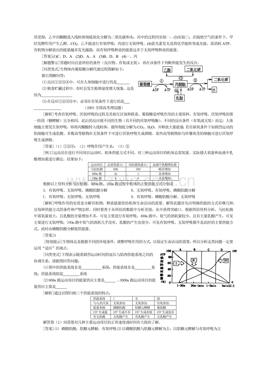 呼吸作用-第30讲生物进化.docx_第2页