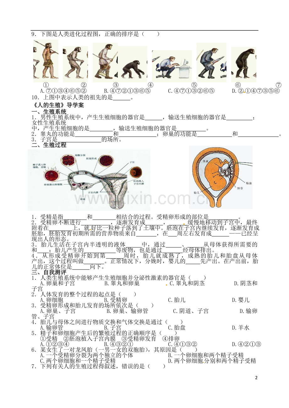 广东省江门市培英初级中学七年级生物下册《人的由来》练习(无答案)--新人教版.doc_第2页