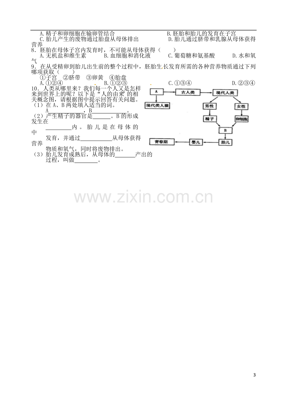 广东省江门市培英初级中学七年级生物下册《人的由来》练习(无答案)--新人教版.doc_第3页