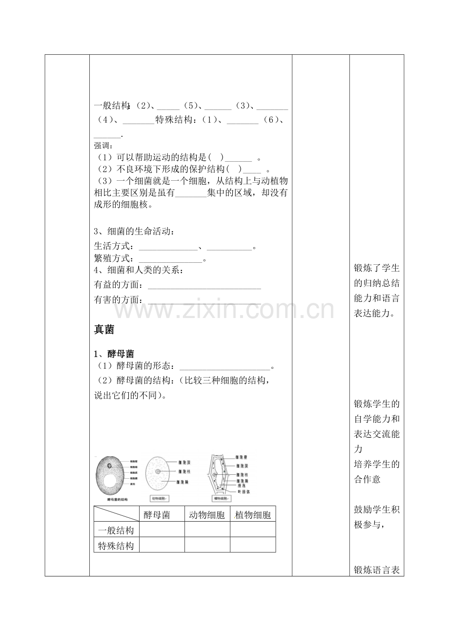 第二单元第三章生物圈中的微生物复习教案【济南版】七年级生物上册教案：32-生物圈中的微生物复习-2.doc_第3页