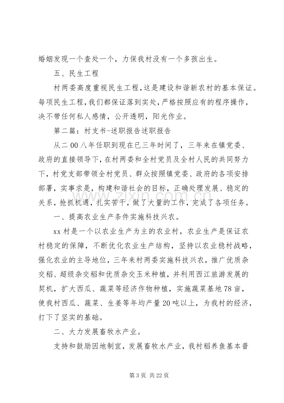 关于村支书述职报告.docx_第3页