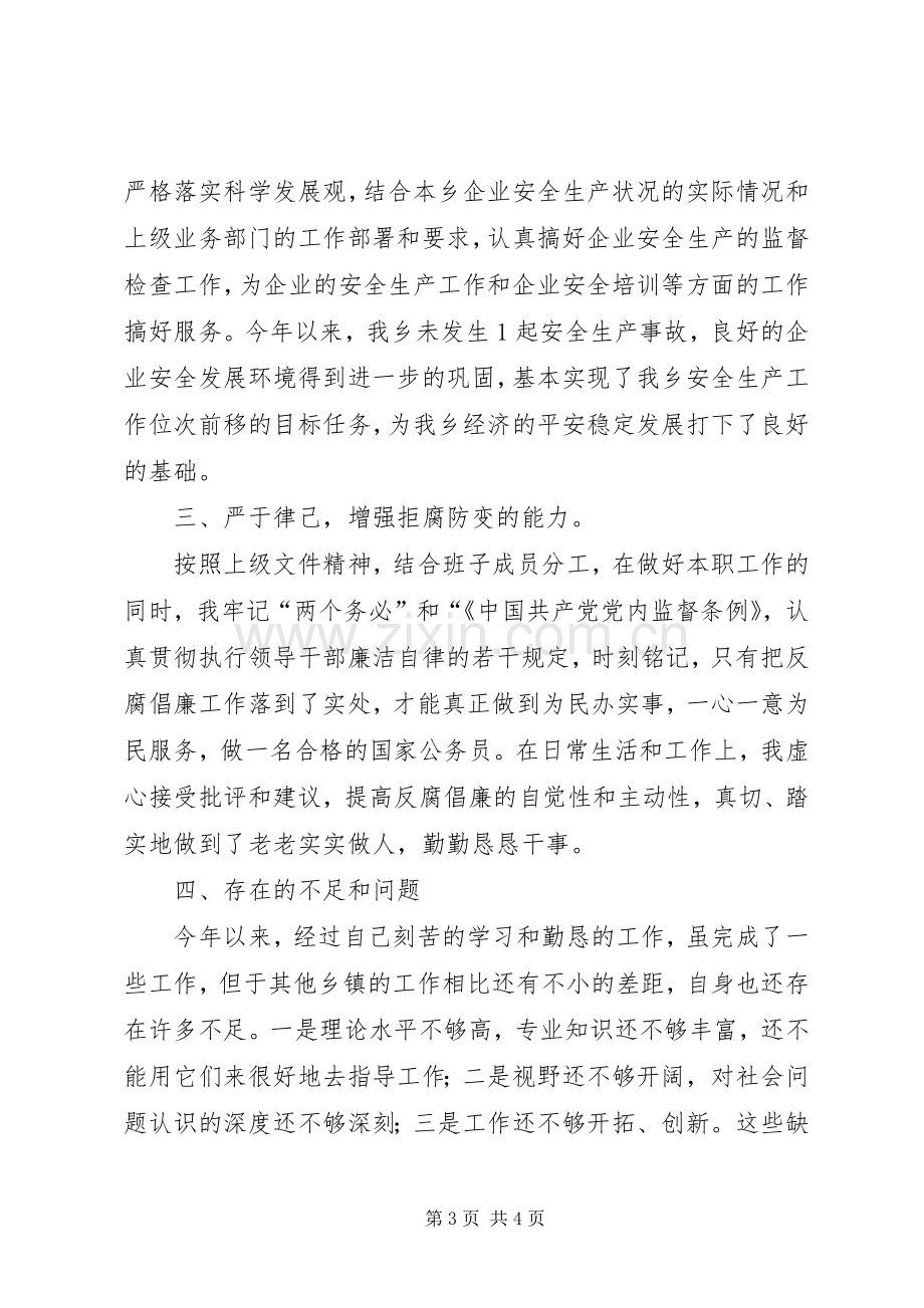 副乡长年度述职述廉报告.docx_第3页