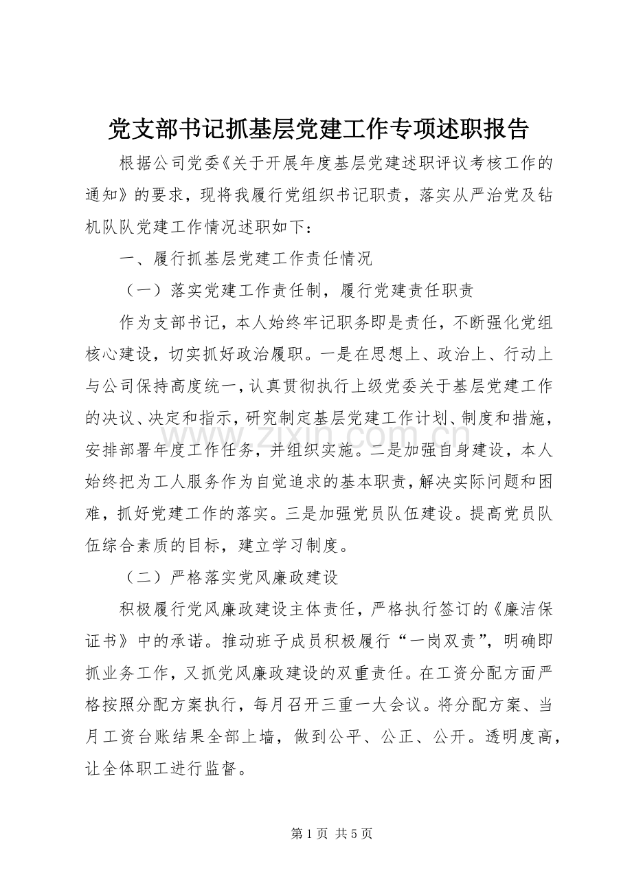 党支部书记抓基层党建工作专项述职报告.docx_第1页