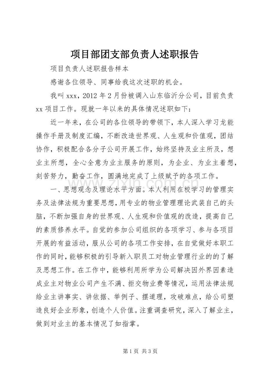 项目部团支部负责人述职报告.docx_第1页