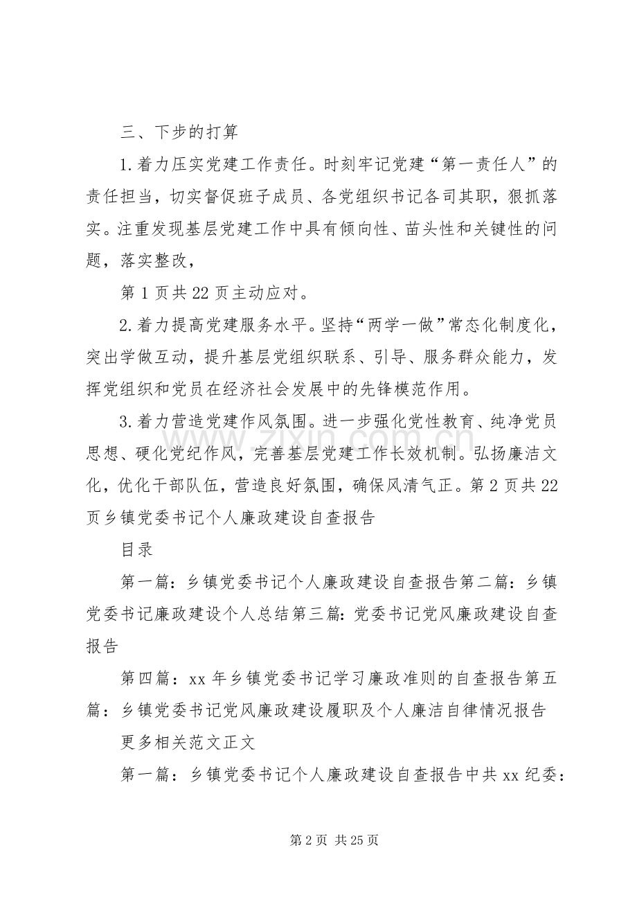 乡镇党委书记XX年度抓基层党建述职报告.docx_第2页